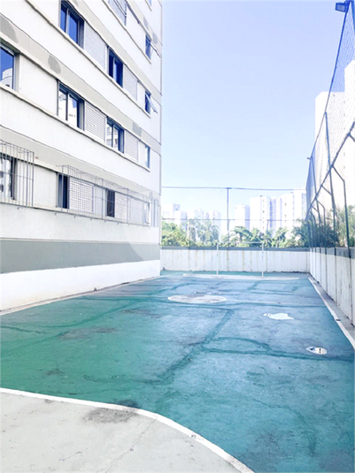Foto REO1082841
