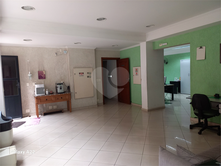 Foto REO1082842