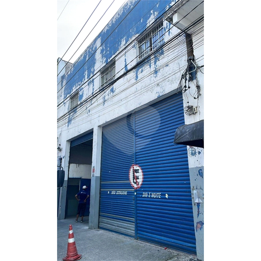 Foto REO1082844