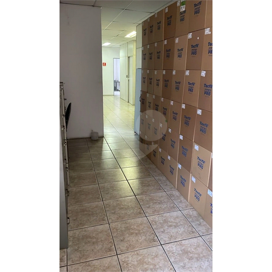 Foto REO1082844