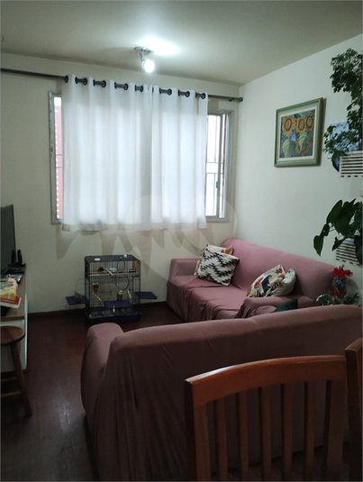 Foto REO1082846