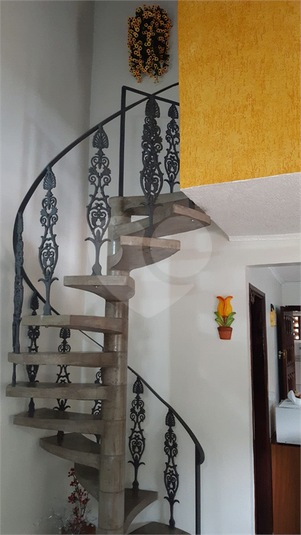 Foto REO1082847