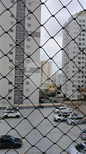 Foto REO1082848