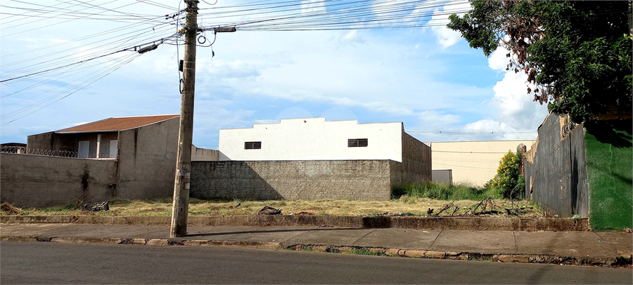 Foto REO1082865