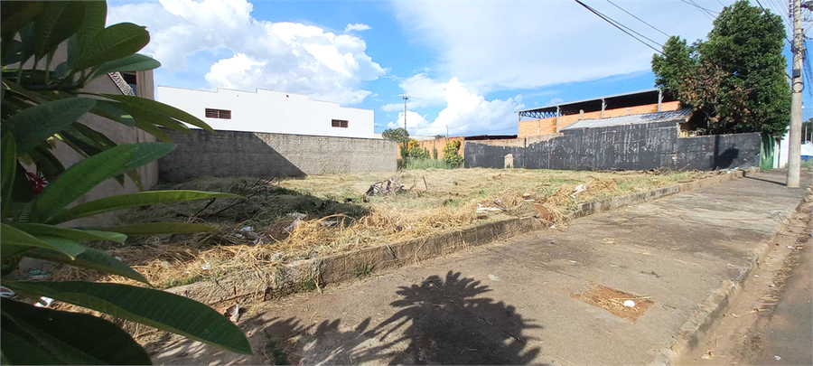 Foto REO1082865