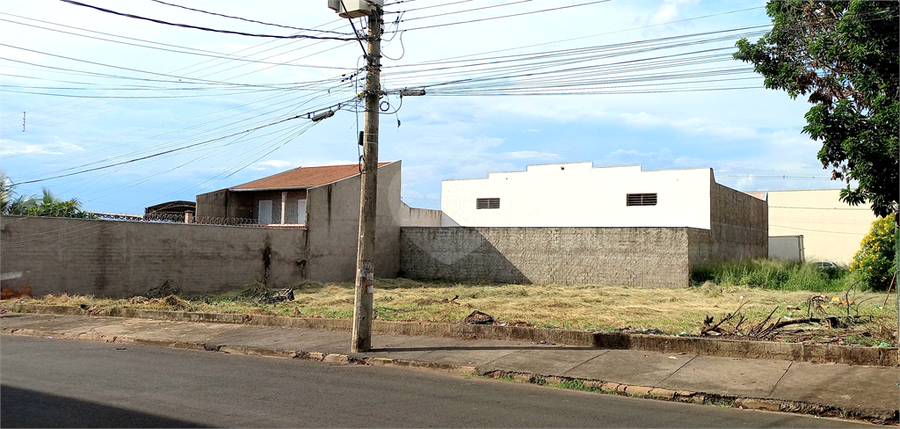Foto REO1082865