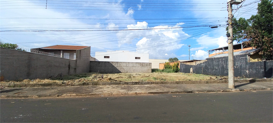 Foto REO1082865