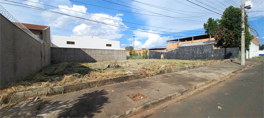 Foto REO1082865