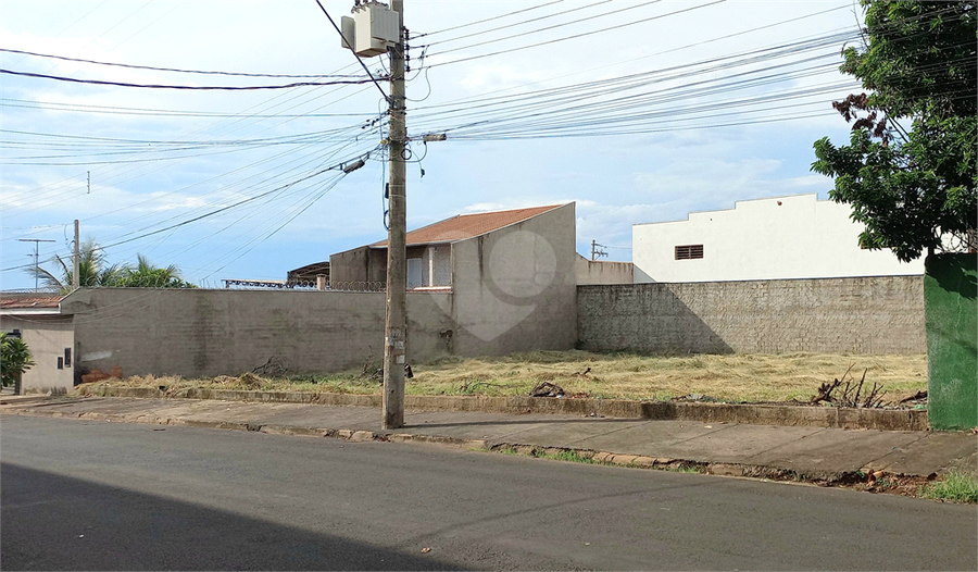 Foto REO1082865