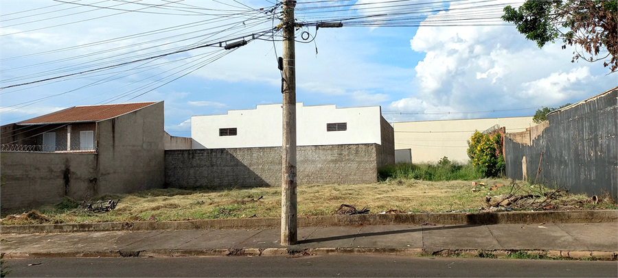 Foto REO1082865