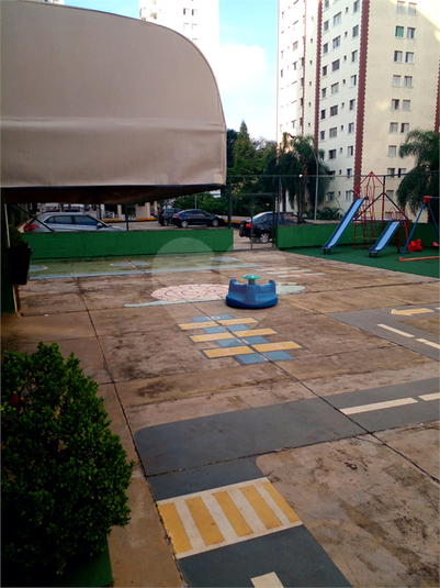 Foto REO1082873