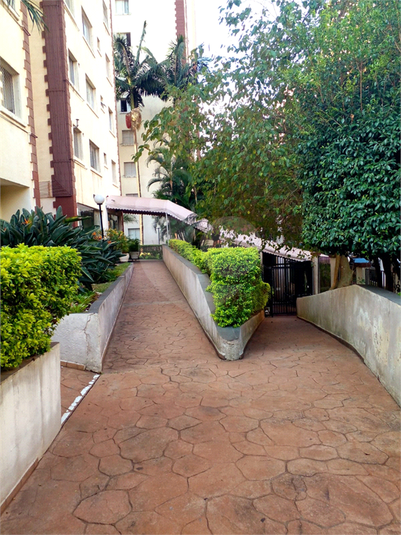 Foto REO1082873