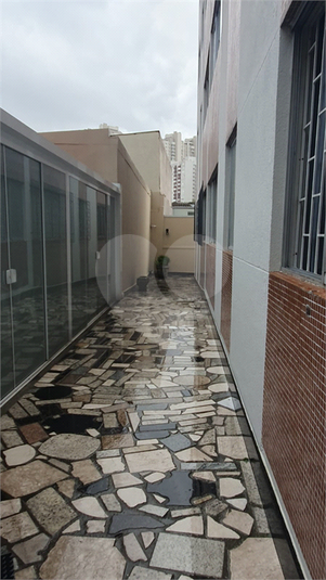 Foto REO1082886