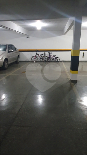 Foto REO1082886