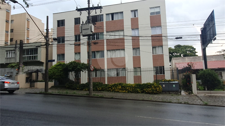 Foto REO1082886