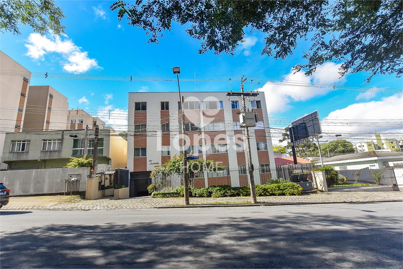 Foto REO1082886
