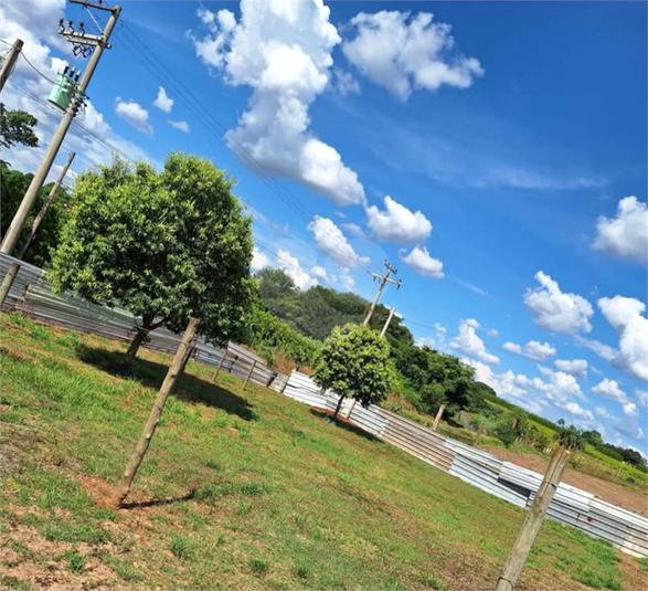 Foto REO1082888