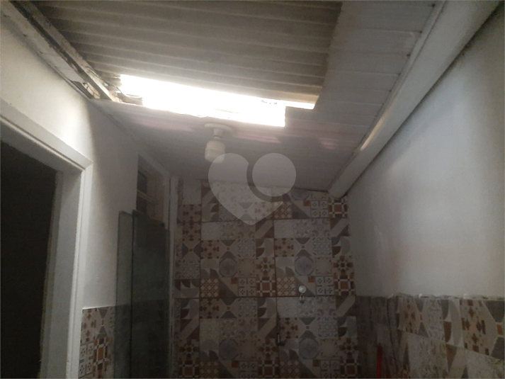Foto REO1082912