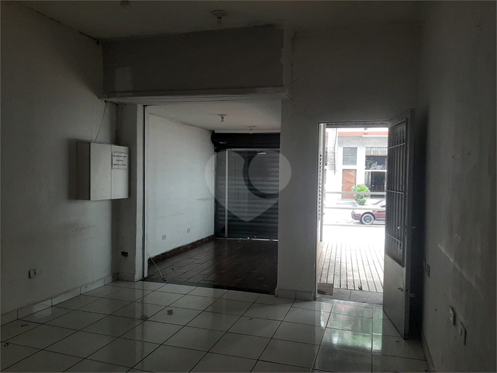 Foto REO1082912