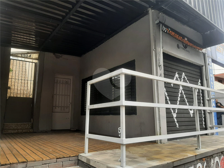 Foto REO1082912