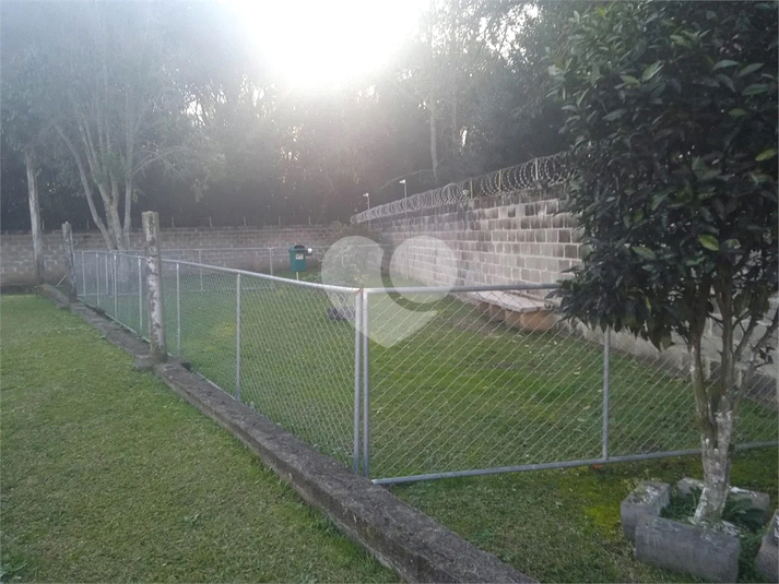 Foto REO1082983