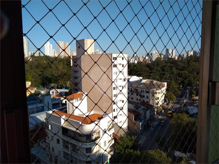 Foto REO1083031