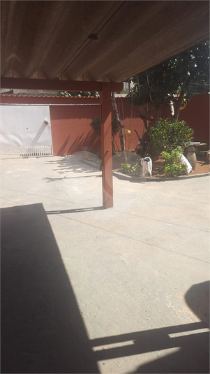 Foto REO1083035