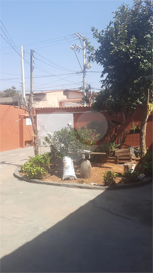 Foto REO1083035