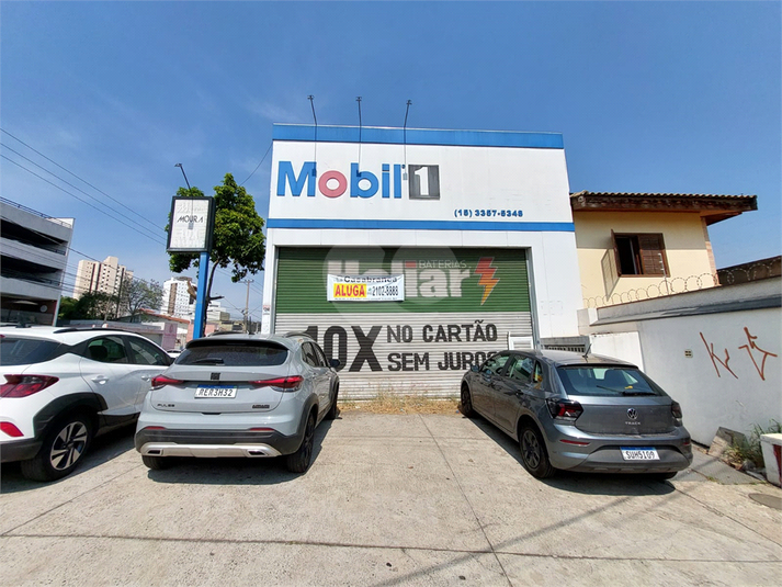 Foto REO1083062