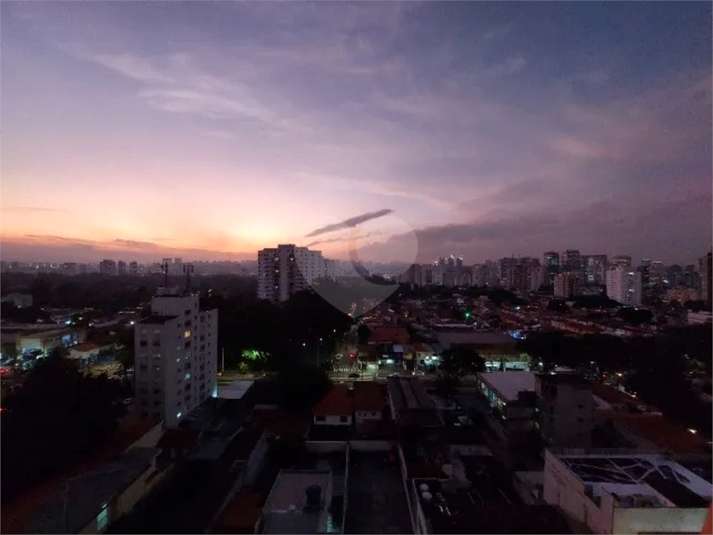 Foto REO1083069