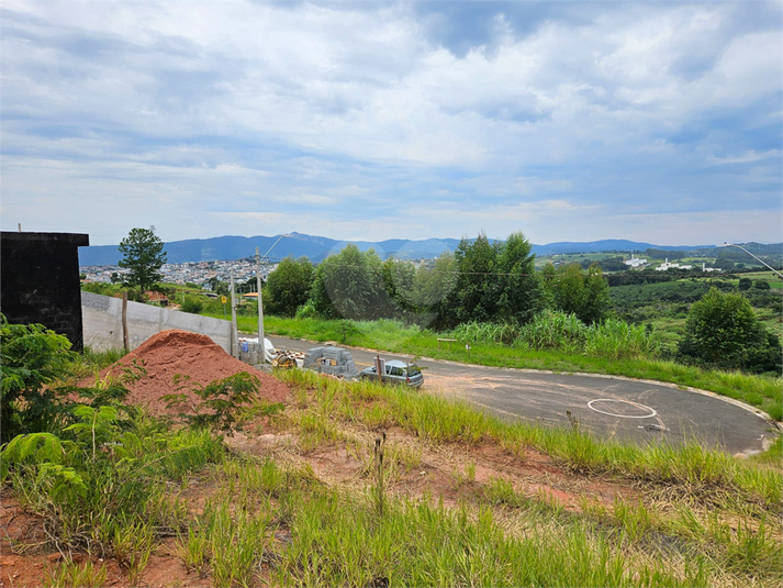 Foto REO1083076