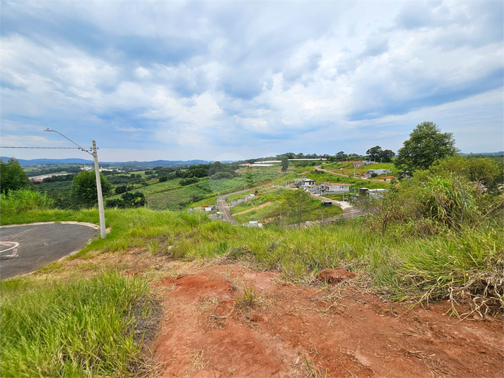 Foto REO1083076