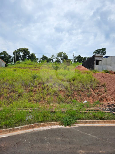 Foto REO1083076