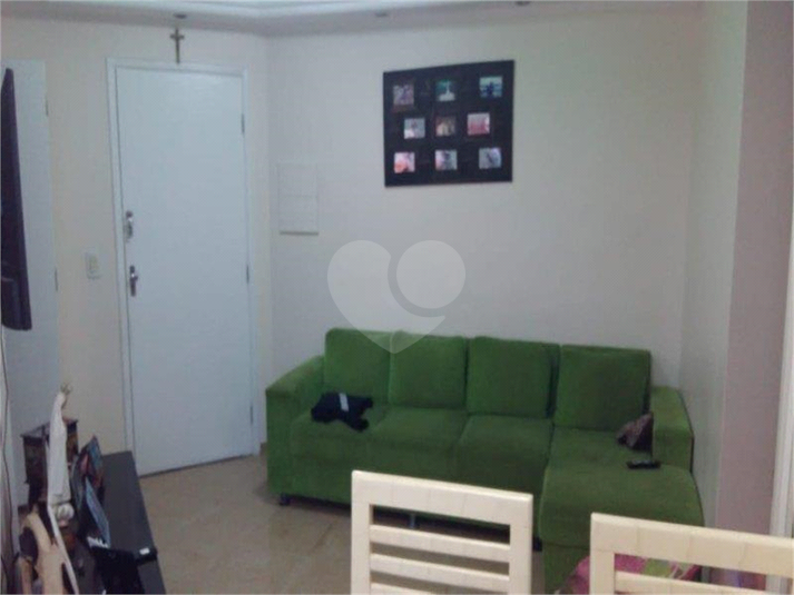 Foto REO1083080