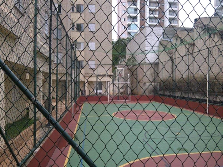 Foto REO1083080