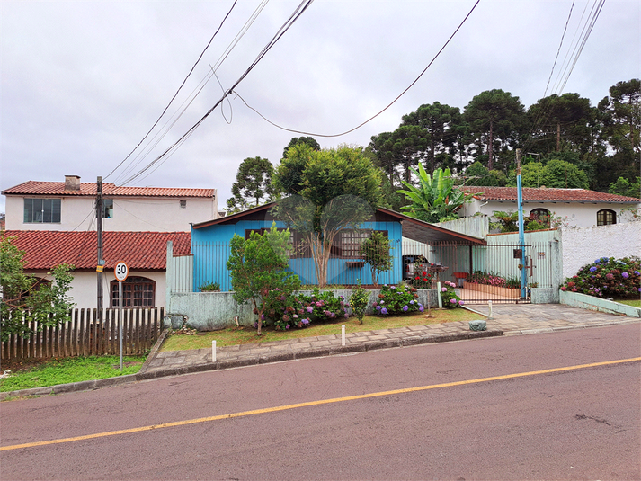 Foto REO1083092