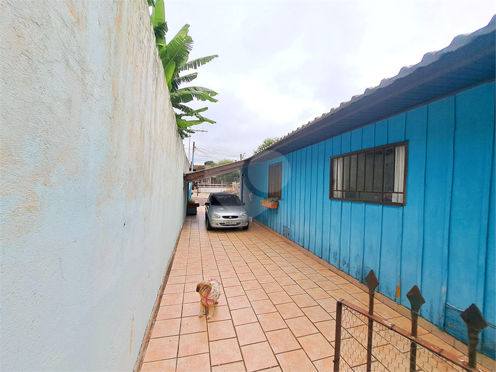 Foto REO1083092