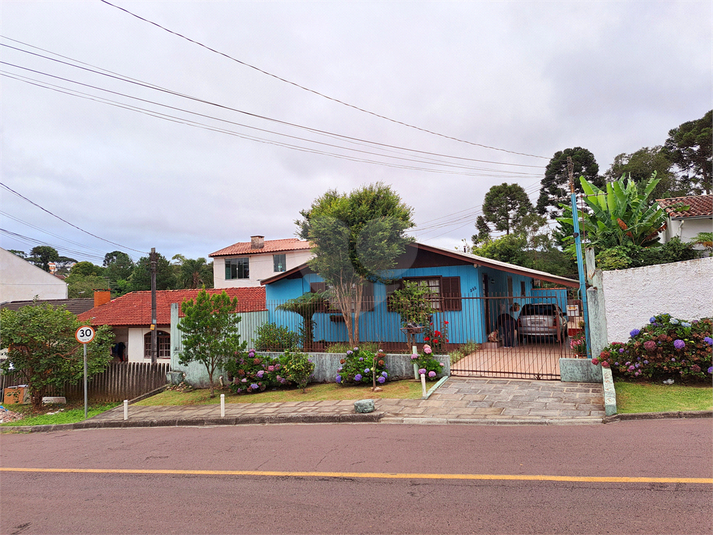 Foto REO1083092
