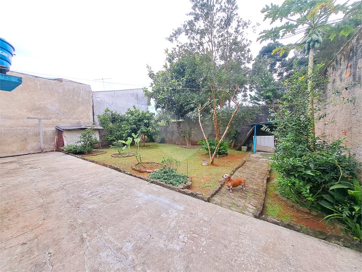 Foto REO1083092