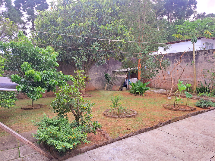Foto REO1083092