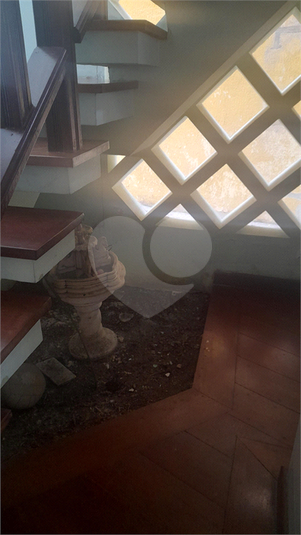 Foto REO1083104