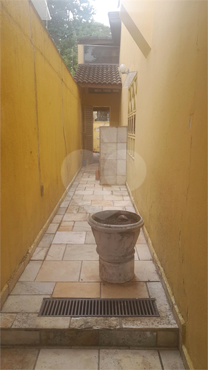 Foto REO1083104