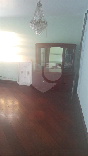 Foto REO1083104