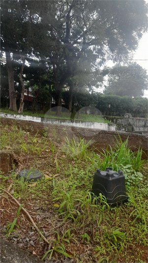 Foto REO1083117
