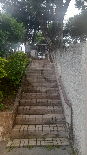 Foto REO1083117