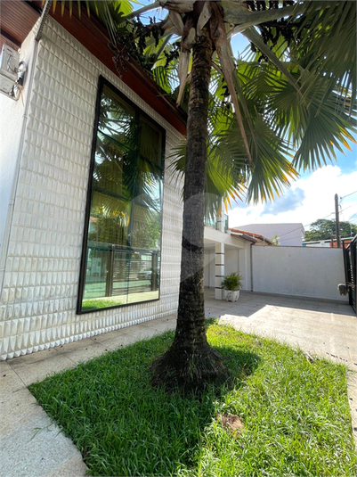 Foto REO1083138