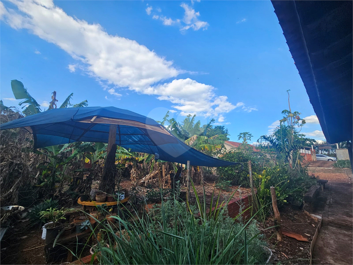 Foto REO1083139