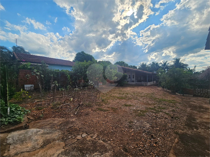 Foto REO1083139