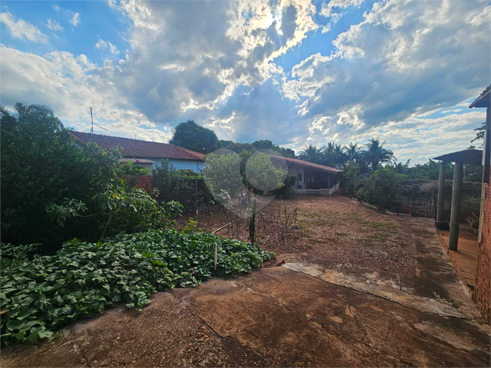 Foto REO1083139
