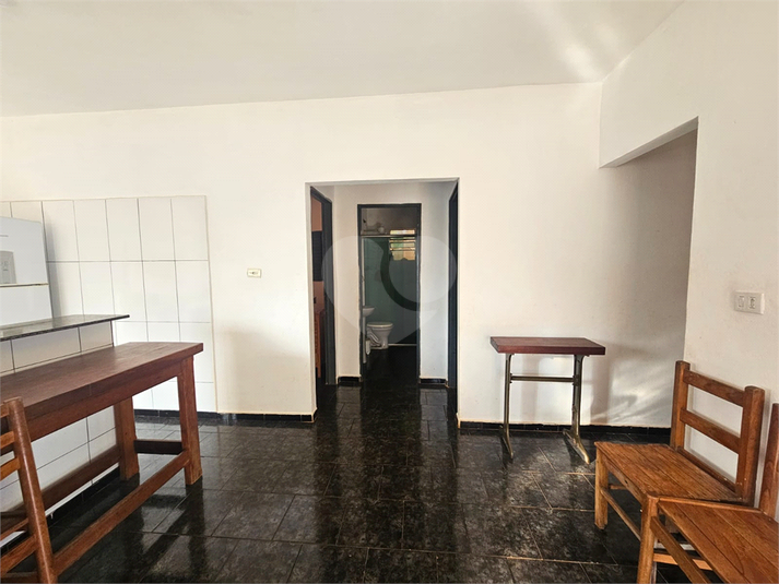 Foto REO1083139